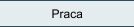 Praca